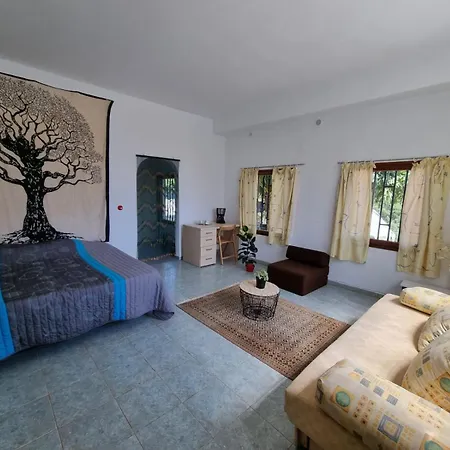 L Houstalou Villa Vidreres