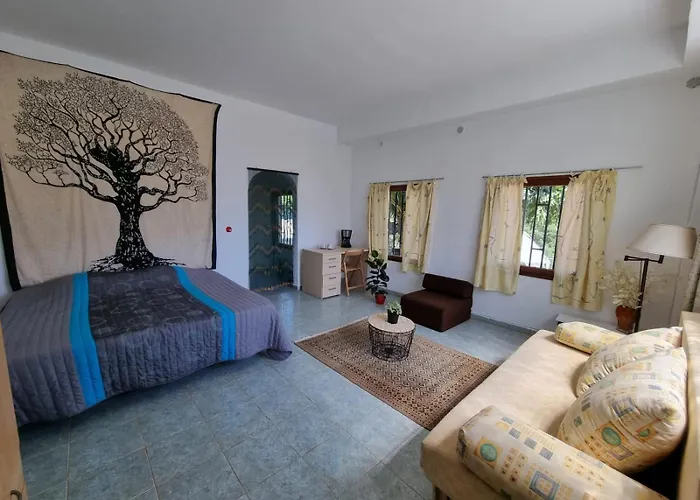L Houstalou Villa Vidreres